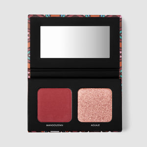 Blush and highlighter duo